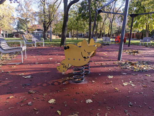 PXL 20231109 083425361.jpg