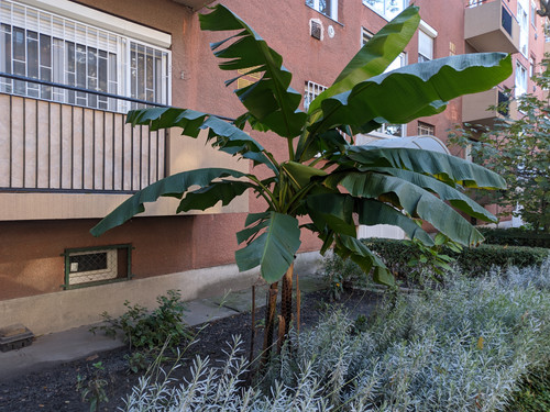 PXL 20231109 081915635.jpg