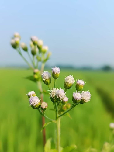 FB IMG 1698992226256.jpg