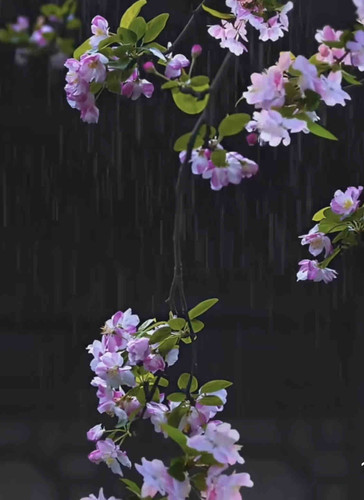 370423DE 7B2D 4607 8347 DDBAD60B6CF1.jpg