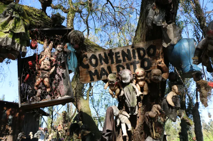 The 13 Most Terrifying Haunted Forests in the World
