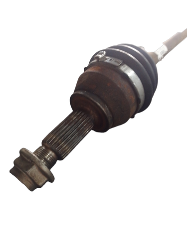 PhotoRoom 20231113 145039.png