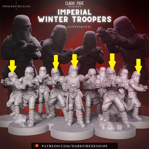A Snow Trooper IMPERIAL WINTER TROOPS.jpg