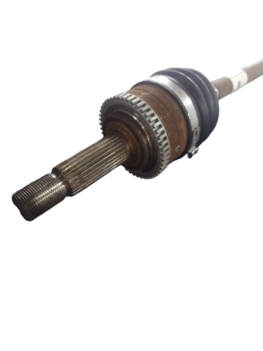 PhotoRoom 20231113 145424.png