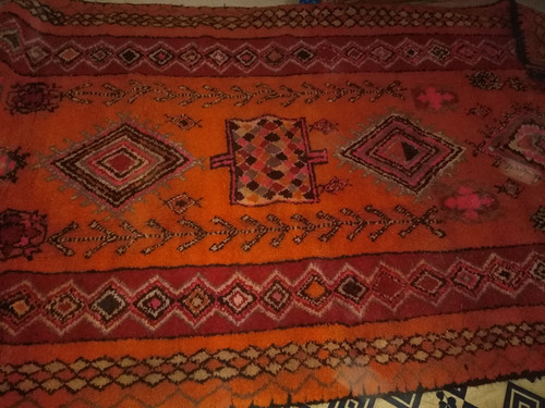 IMG 20231109 170920.jpg