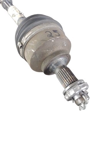 PhotoRoom 20231114 085749.png