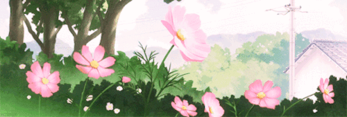 ezgif.com resize.gif