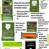 panduan penggunaan chatbot