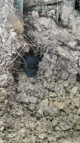 WhatsApp Image 2023 11 14 at 9.18.53 AM.jpg