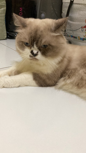 5F1107DB F9DD 4D98 9D3D 41323CA016F6.jpg