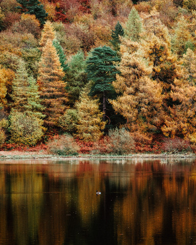 Tumblr l 70506510082008.jpg