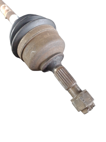 PhotoRoom 20231114 090604.png