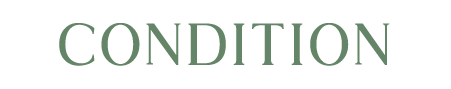 condition.png