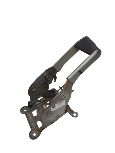 PhotoRoom 20231113 093704.png