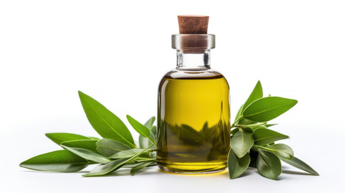 A bottle of tea tree essential oil isolated on a white background The idea of natural cosmetic natur.jpg