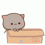 cute cats.gif