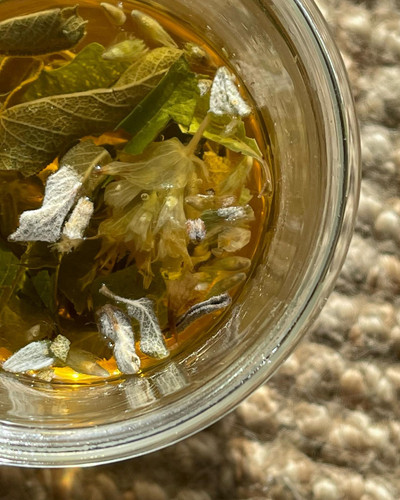 "Beyond The Cup: Exploring Ikaria Blue Zone Traditions".jpg