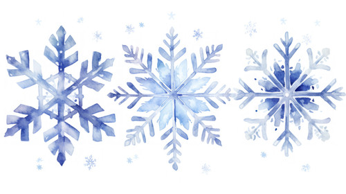 Elegant watercolor winter christmas snowflakes Vector illustration 00197 03.jpg