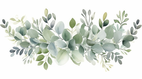 Eucalyptus Frame Watercolor Floral Frame Greenery Frame Floral Arrangement Green Leaves Composition .jpg