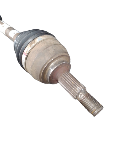 PhotoRoom 20231114 091839.png