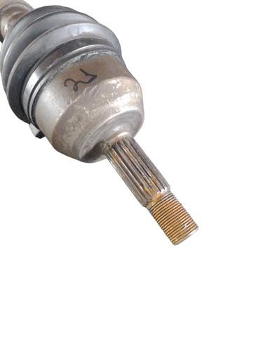 PhotoRoom 20231114 085207.png