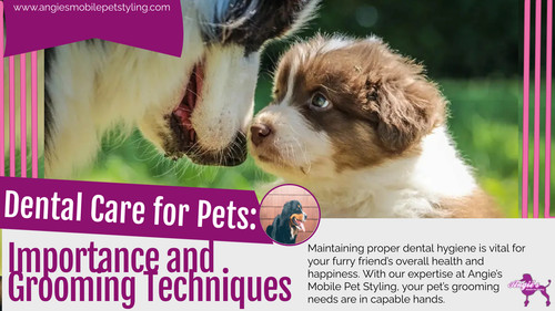 Dental Care for Pets Importance and Grooming Techniques