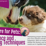 Dental Care for Pets Importance and Grooming Techniques