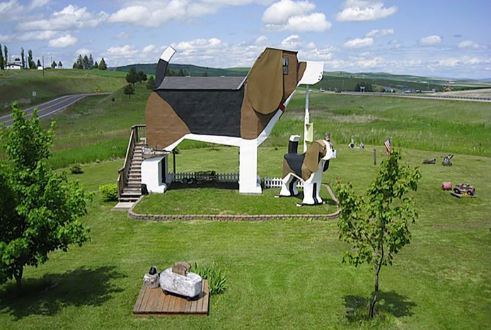 Unusual stay at the Dog Bark Park hostel in Idaho.