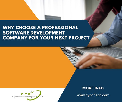 Why Choose a Professional Software Development Company for Your Next Project.jpg