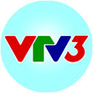 vtv3 big copy.png