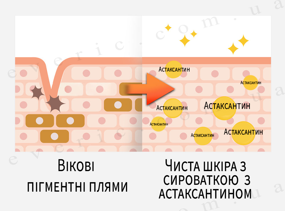 03 1 копия