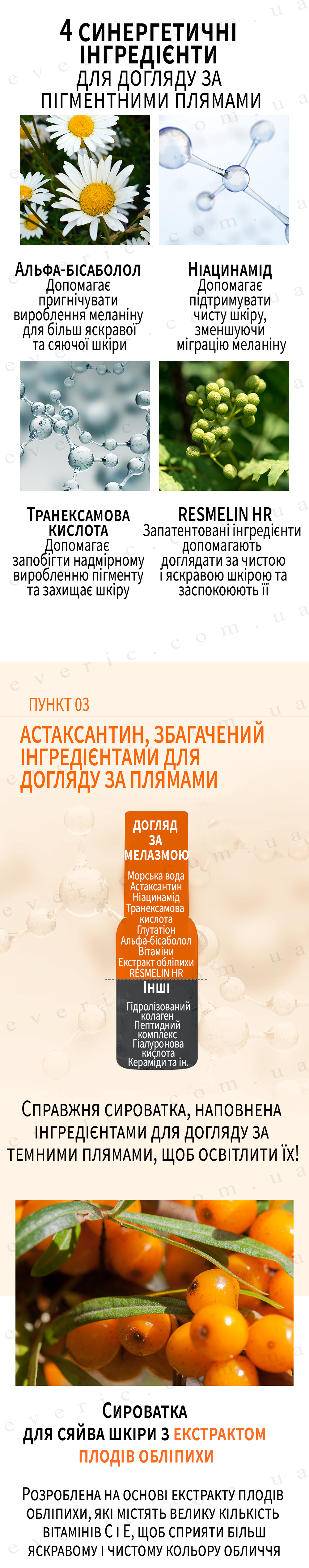 17 копия
