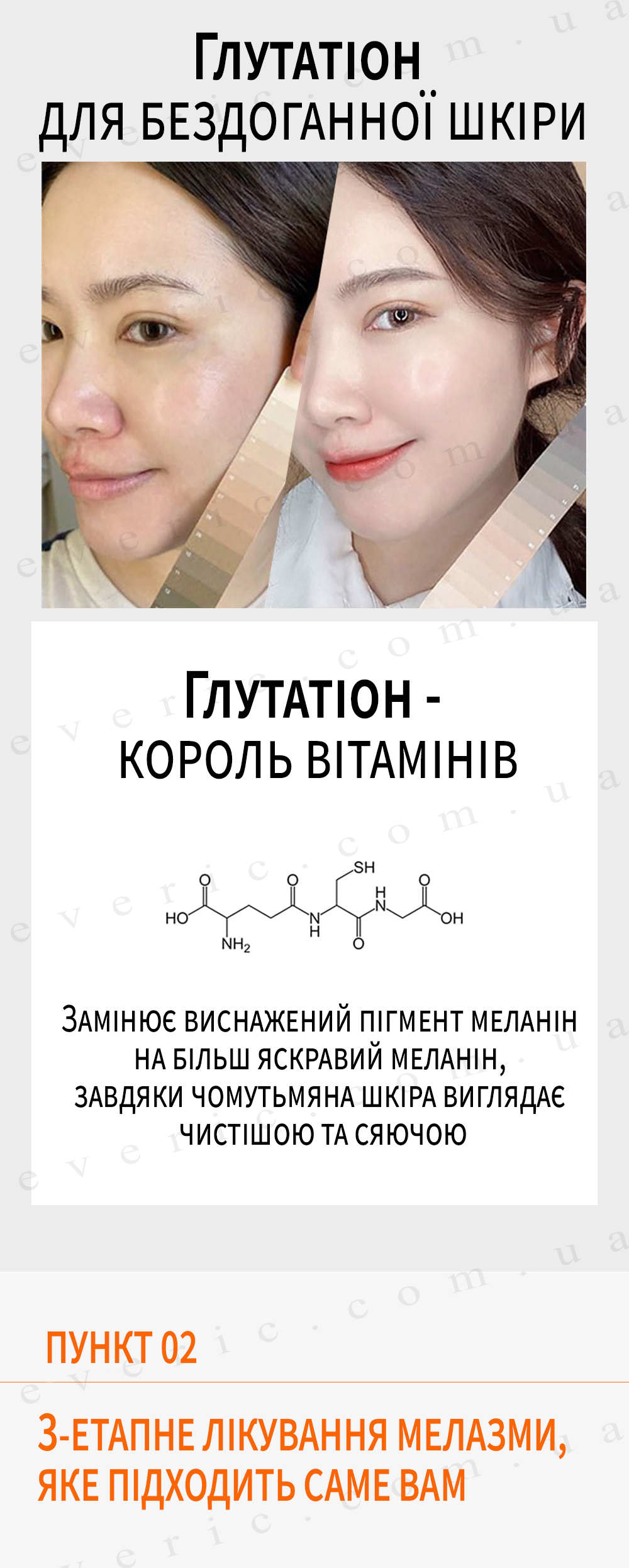 13 копия