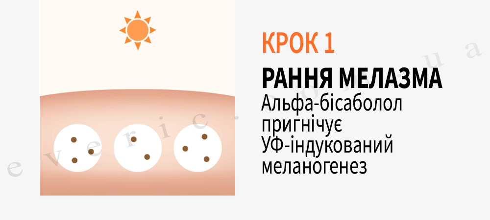14 копия