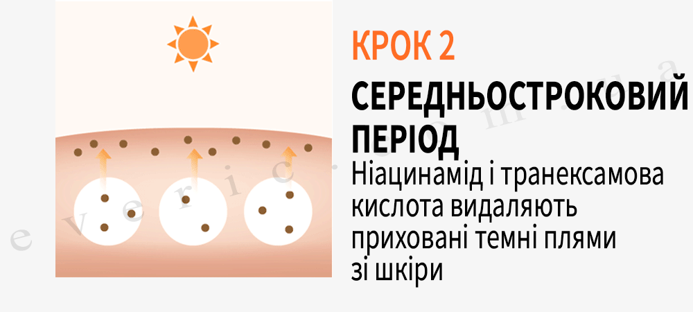 15 копия