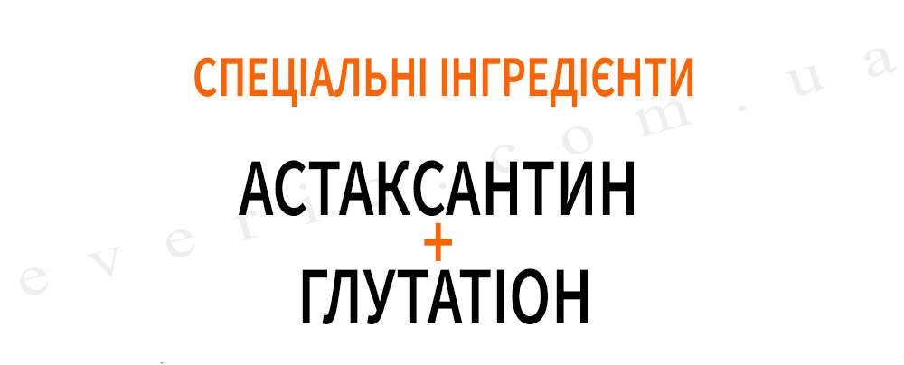 11 копия