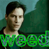 weed