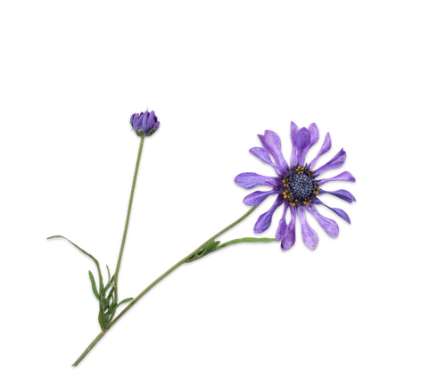 138146.png