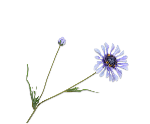 138148.png