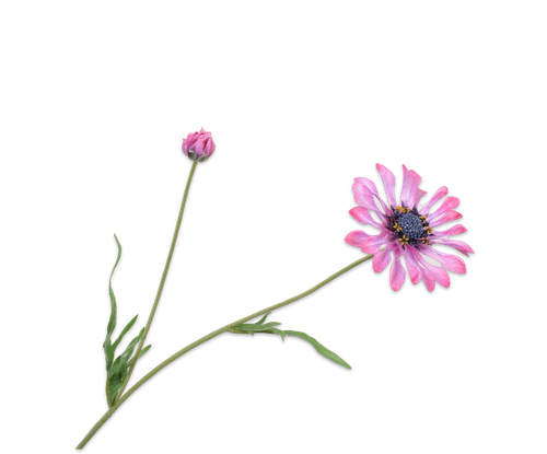 138151.png