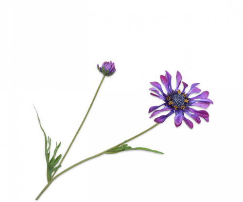 138150.png