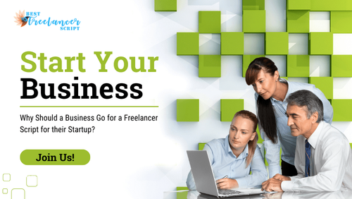 why should a business go for a freelancer script for their startup.png