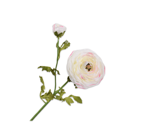 138234.png