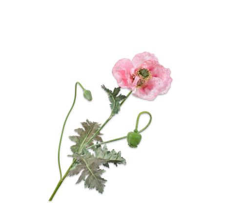 139053.png