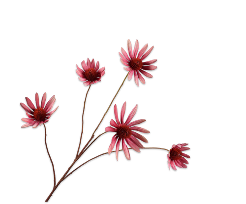 140754.png