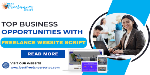 top business opportunities with a freelance website script.png