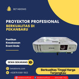 Proyektor133