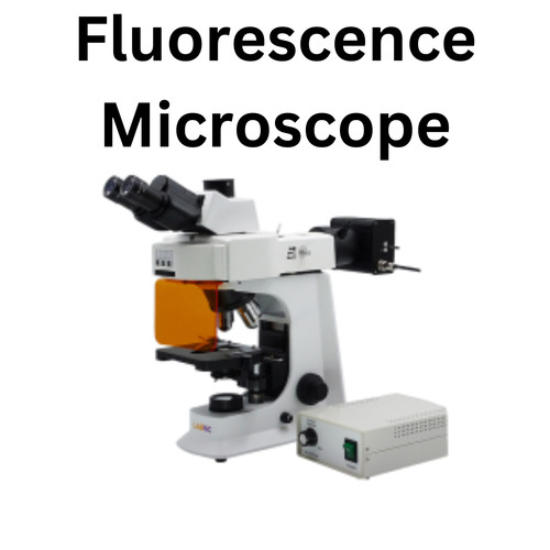 Fluorescence Microscope.jpg
