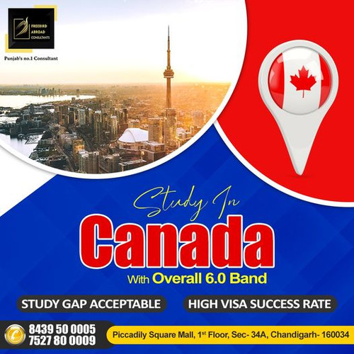 Study Abroad Consultants in Chandigarh Best Study Visa.jpg