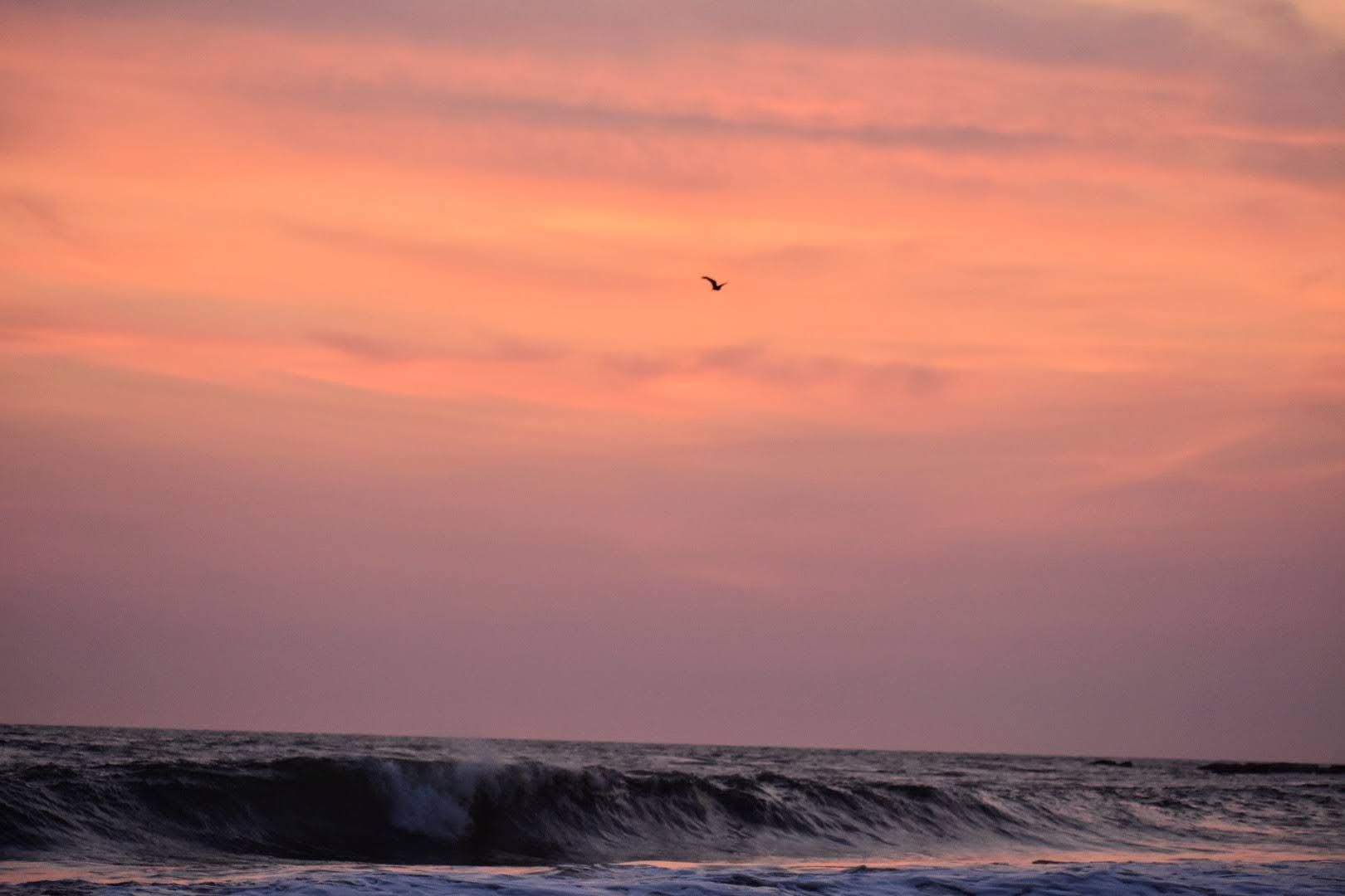 Sunset, Karnataka, India